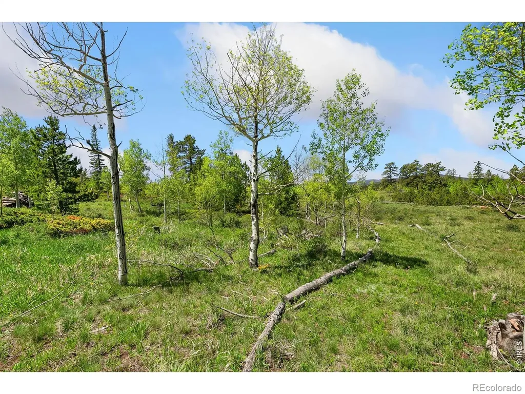 5481 N County Road 73c Red Feather Lakes CO 80545