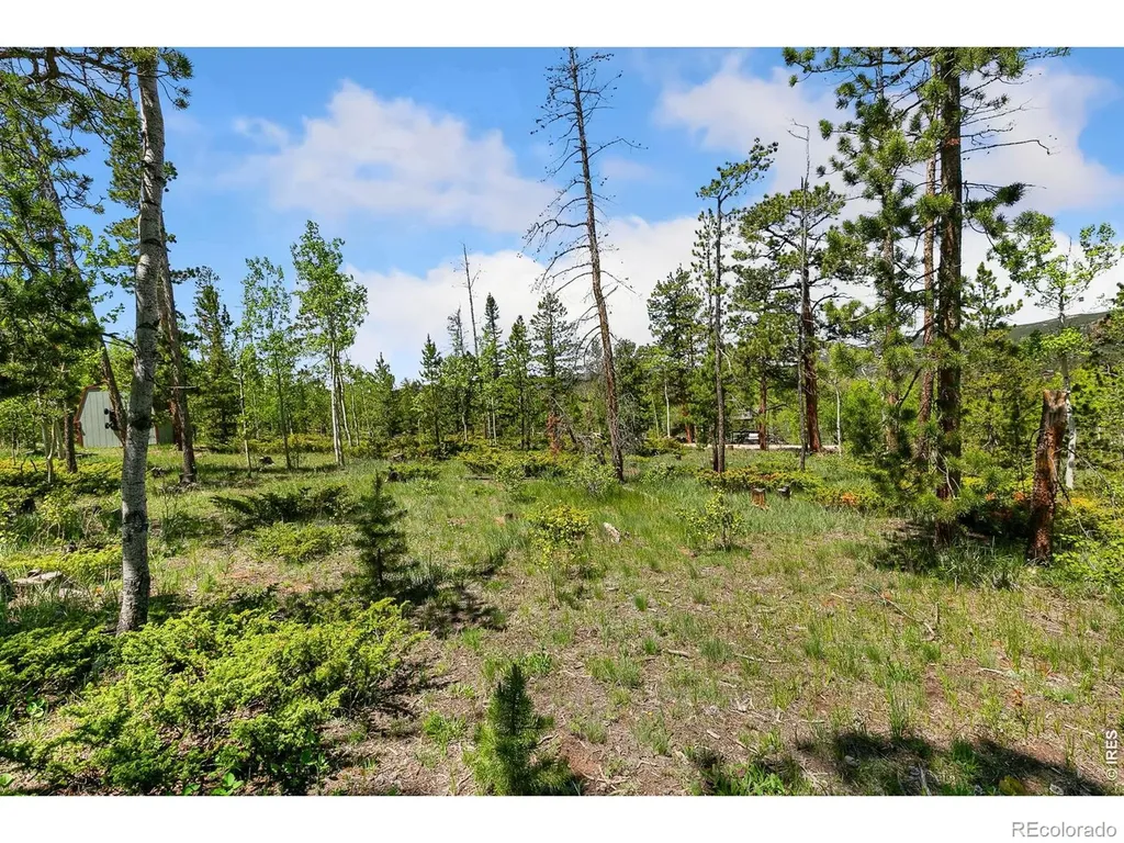 5481 N County Road 73c Red Feather Lakes CO 80545