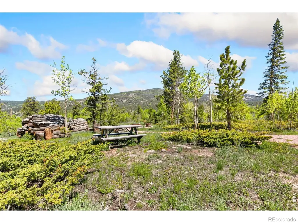 5449 N County Road 73c Red Feather Lakes CO 80545