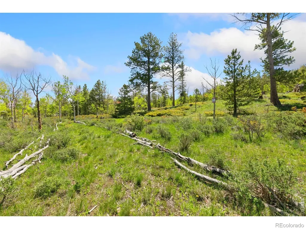 5449 N County Road 73c Red Feather Lakes CO 80545