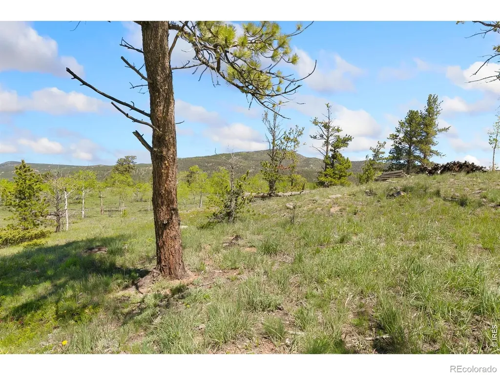 5449 N County Road 73c Red Feather Lakes CO 80545