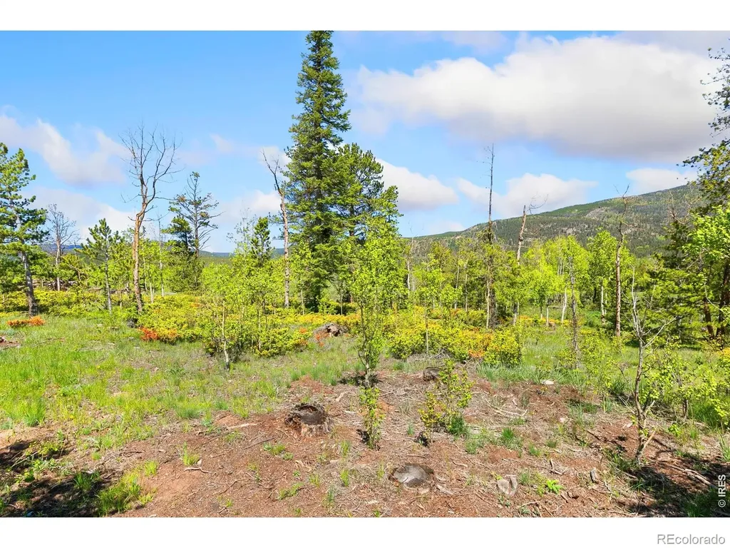 5449 N County Road 73c Red Feather Lakes CO 80545