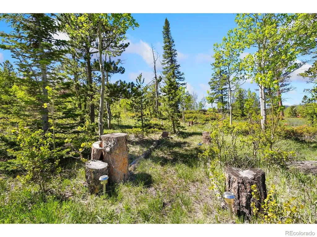 5449 N County Road 73c Red Feather Lakes CO 80545