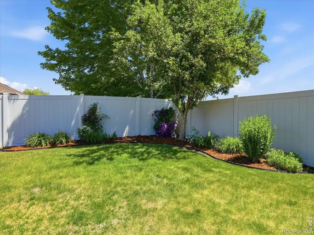 332 Whitney Windsor CO 80550