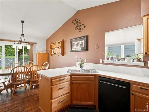 332 Whitney Windsor CO 80550