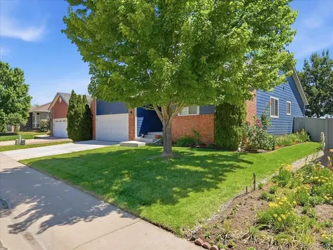 332 Whitney Windsor CO 80550