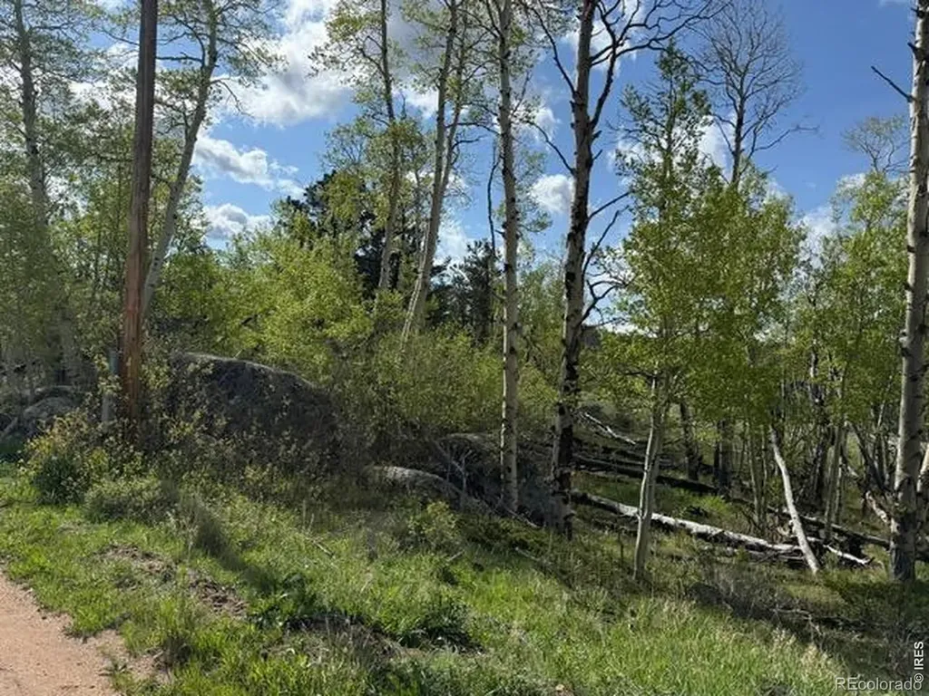 137 Cimarron Road Red Feather Lakes CO 80545