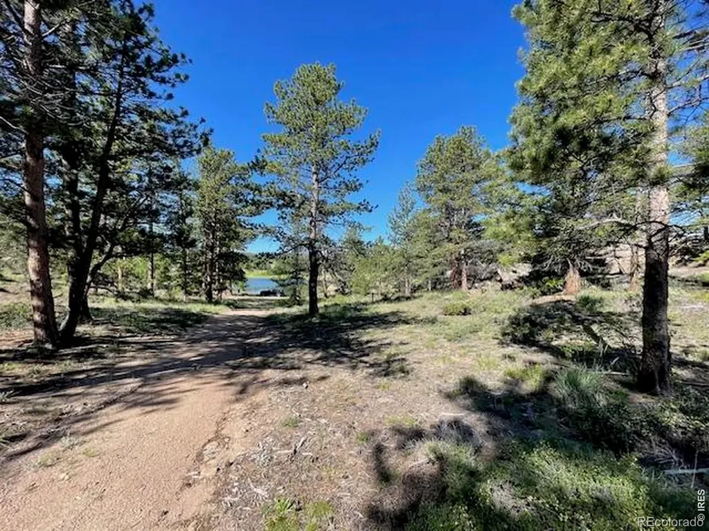 3086 Fox Acres Drive E Red Feather Lakes CO 80545
