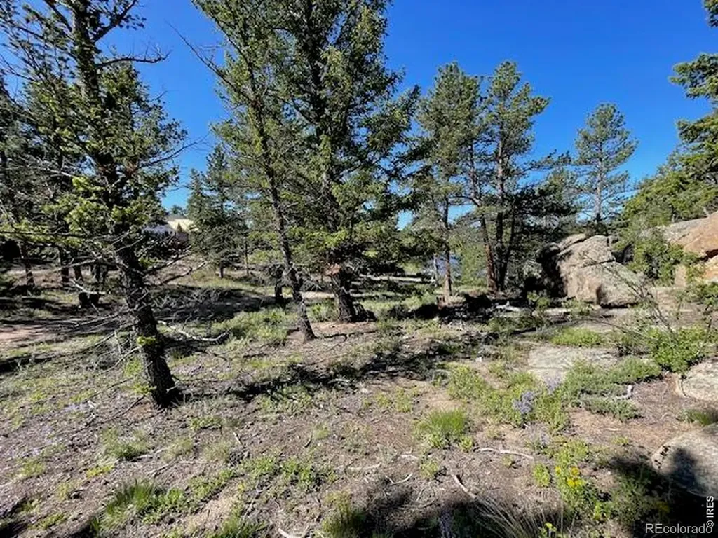 3086 Fox Acres Drive E Red Feather Lakes CO 80545
