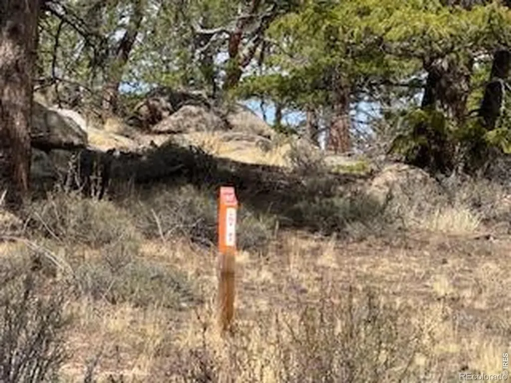 3086 Fox Acres Drive E Red Feather Lakes CO 80545
