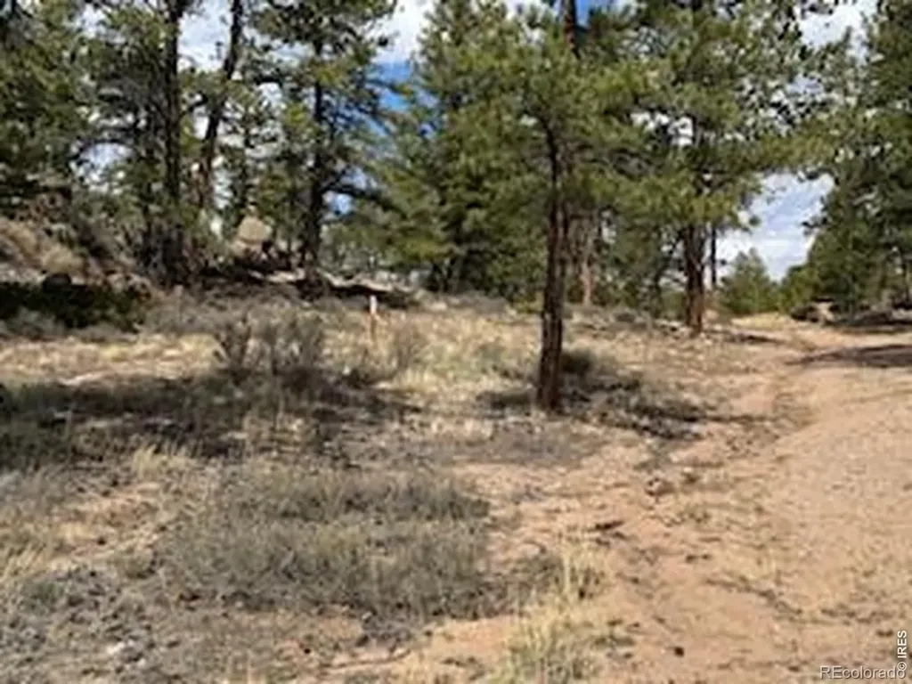 3086 Fox Acres Drive E Red Feather Lakes CO 80545