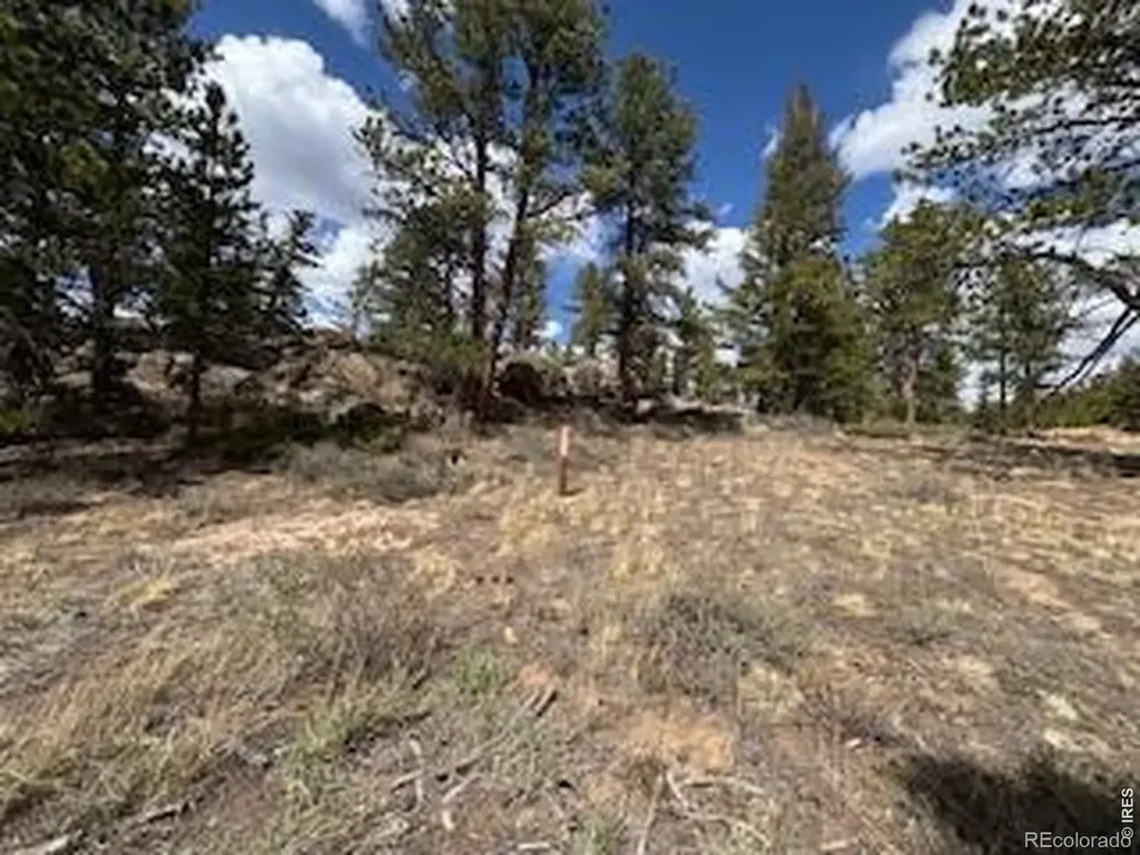 3086 Fox Acres Drive E Red Feather Lakes CO 80545