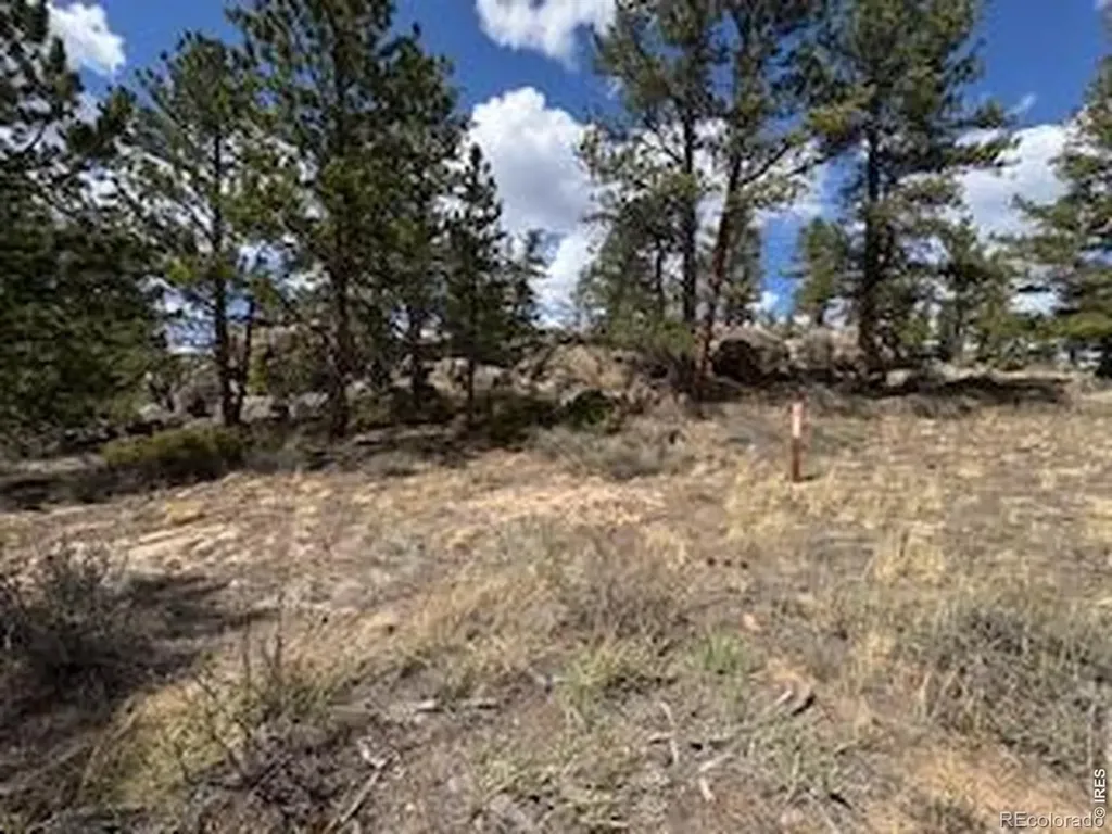 3086 Fox Acres Drive E Red Feather Lakes CO 80545
