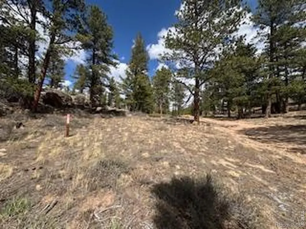 3086 Fox Acres Drive E Red Feather Lakes CO 80545