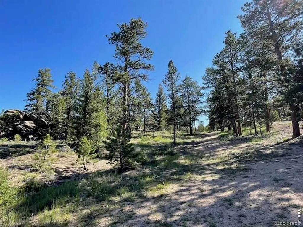 3086 Fox Acres Drive E Red Feather Lakes CO 80545