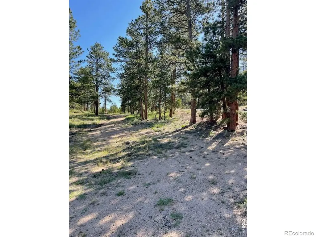 3086 Fox Acres Drive E Red Feather Lakes CO 80545