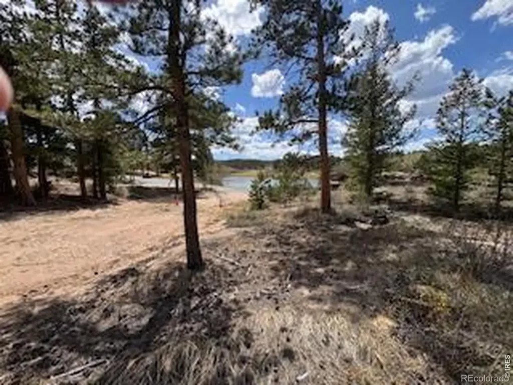 3086 Fox Acres Drive E Red Feather Lakes CO 80545