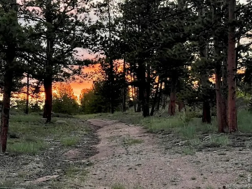 3086 Fox Acres Drive E Red Feather Lakes CO 80545