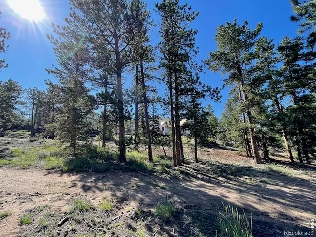 3086 Fox Acres Drive E Red Feather Lakes CO 80545