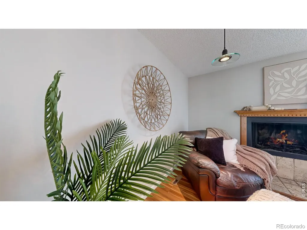 2924 Ross Drive Fort Collins CO 80526