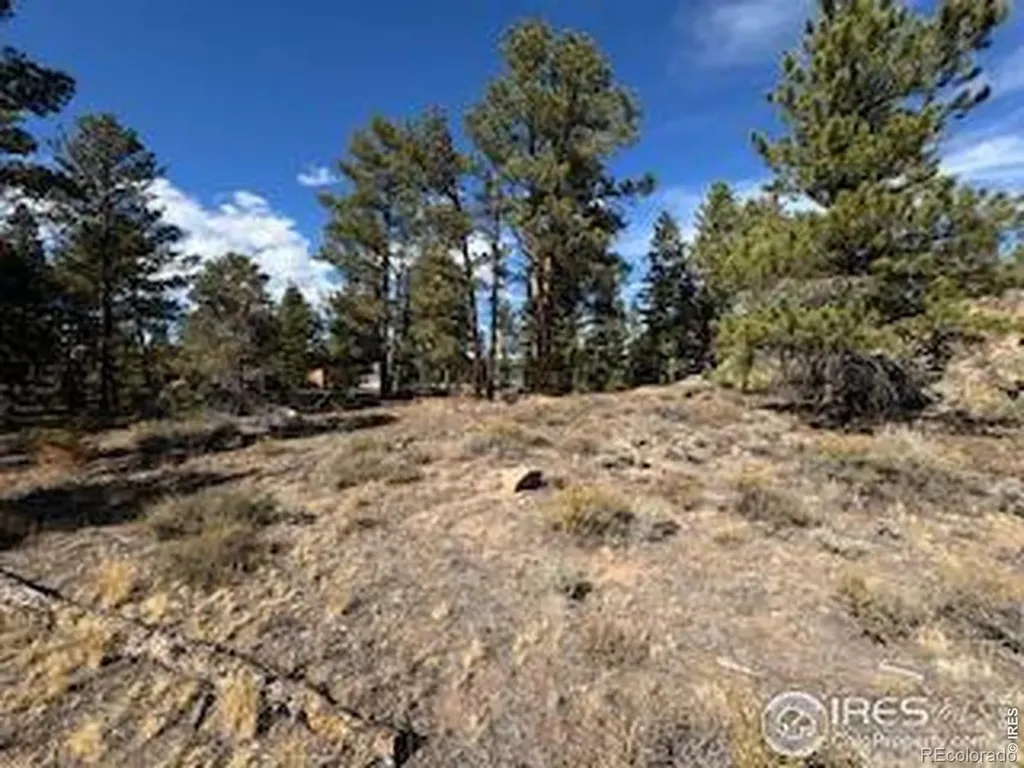 2921 Fox Acres Drive E Red Feather Lakes CO 80545