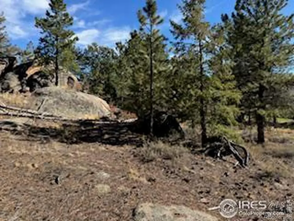2921 Fox Acres Drive E Red Feather Lakes CO 80545