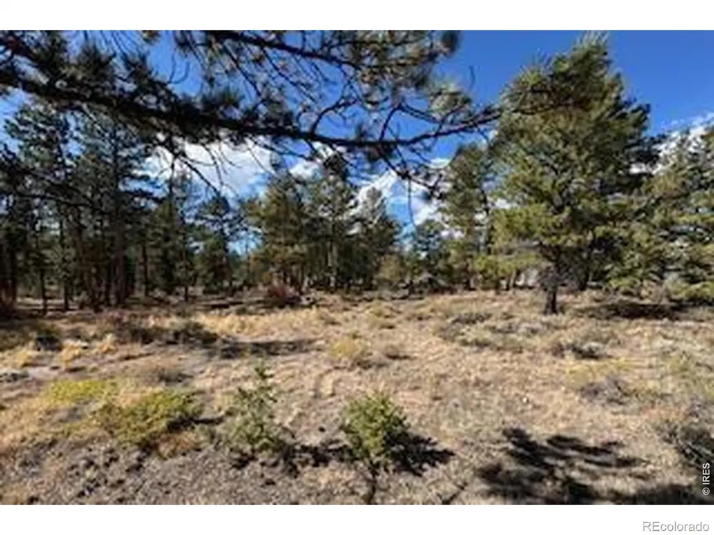 2921 Fox Acres Drive E Red Feather Lakes CO 80545