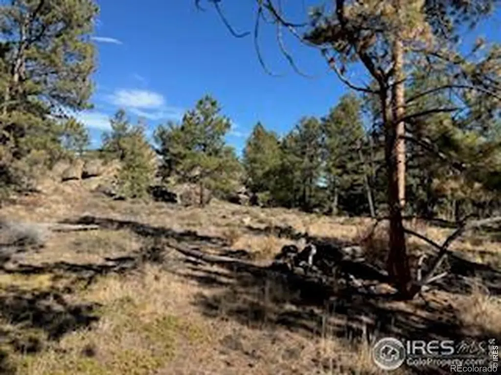 2921 Fox Acres Drive E Red Feather Lakes CO 80545