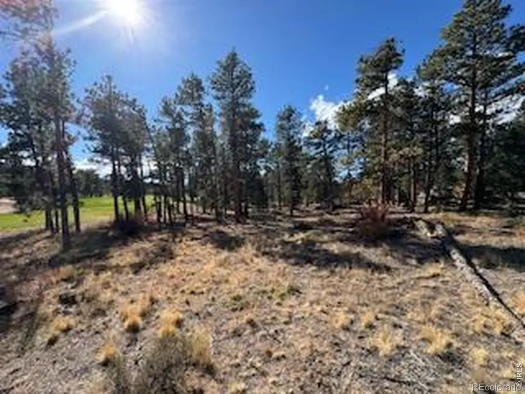 2921 Fox Acres Drive E Red Feather Lakes CO 80545