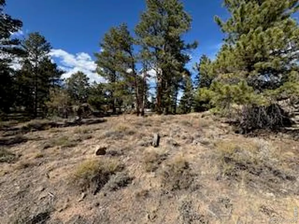 2921 Fox Acres Drive E Red Feather Lakes CO 80545