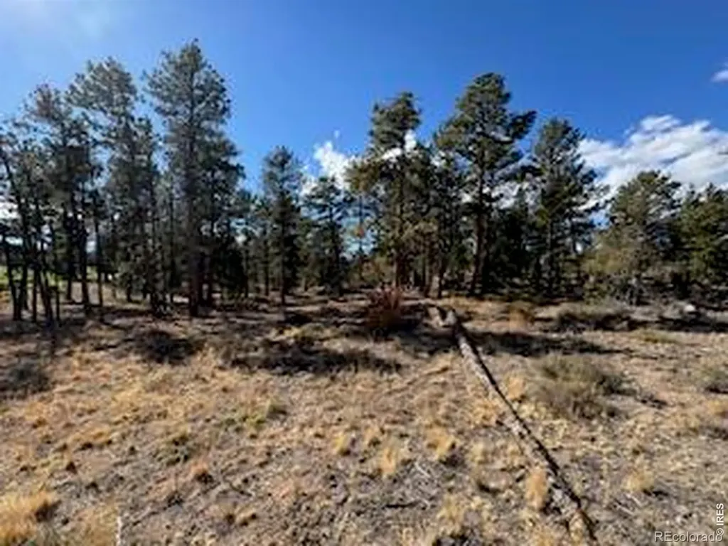 2921 Fox Acres Drive E Red Feather Lakes CO 80545