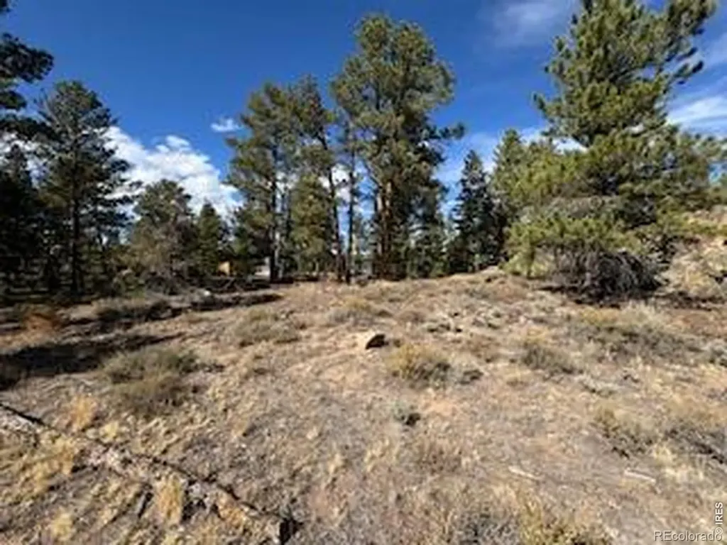 2921 Fox Acres Drive E Red Feather Lakes CO 80545