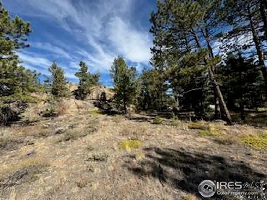 2921 Fox Acres Drive E Red Feather Lakes CO 80545