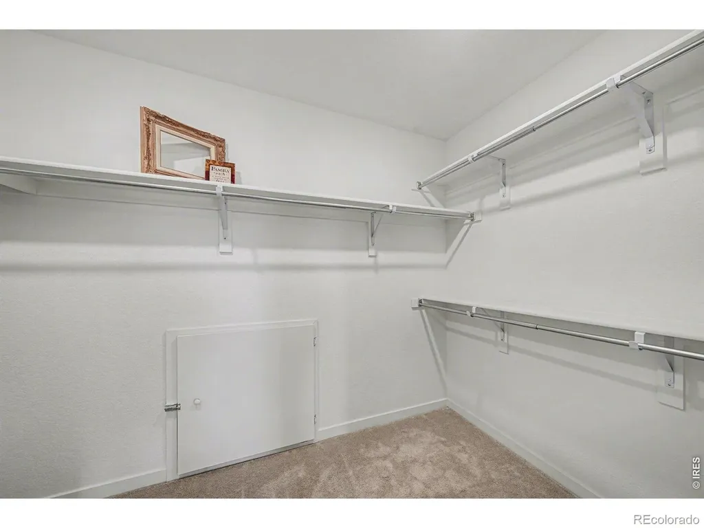 5548 Runge Court Timnath CO 80547