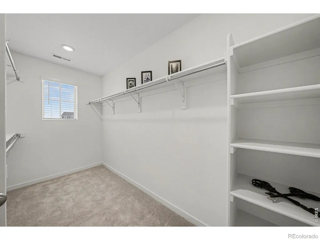 5548 Runge Court Timnath CO 80547