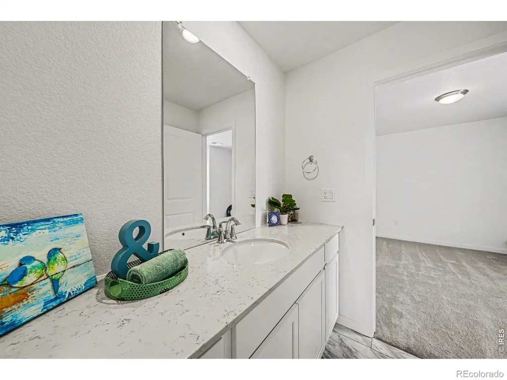 5548 Runge Court Timnath CO 80547