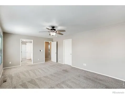 912 Charlton Drive Windsor CO 80550
