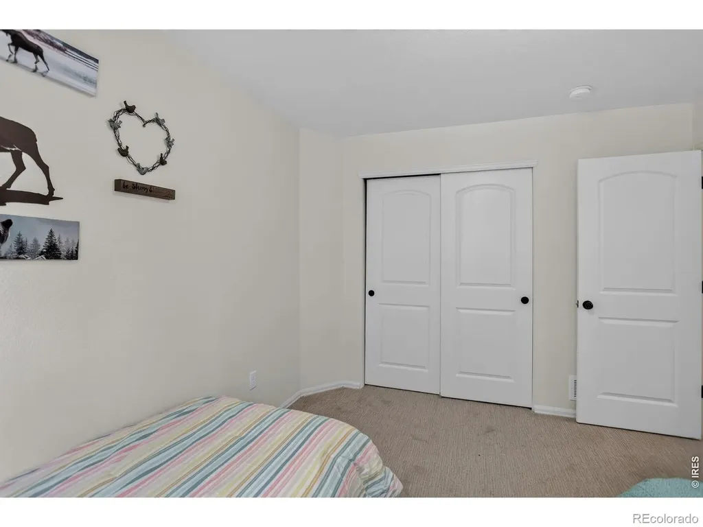 703 Cavern Street Severance CO 80550