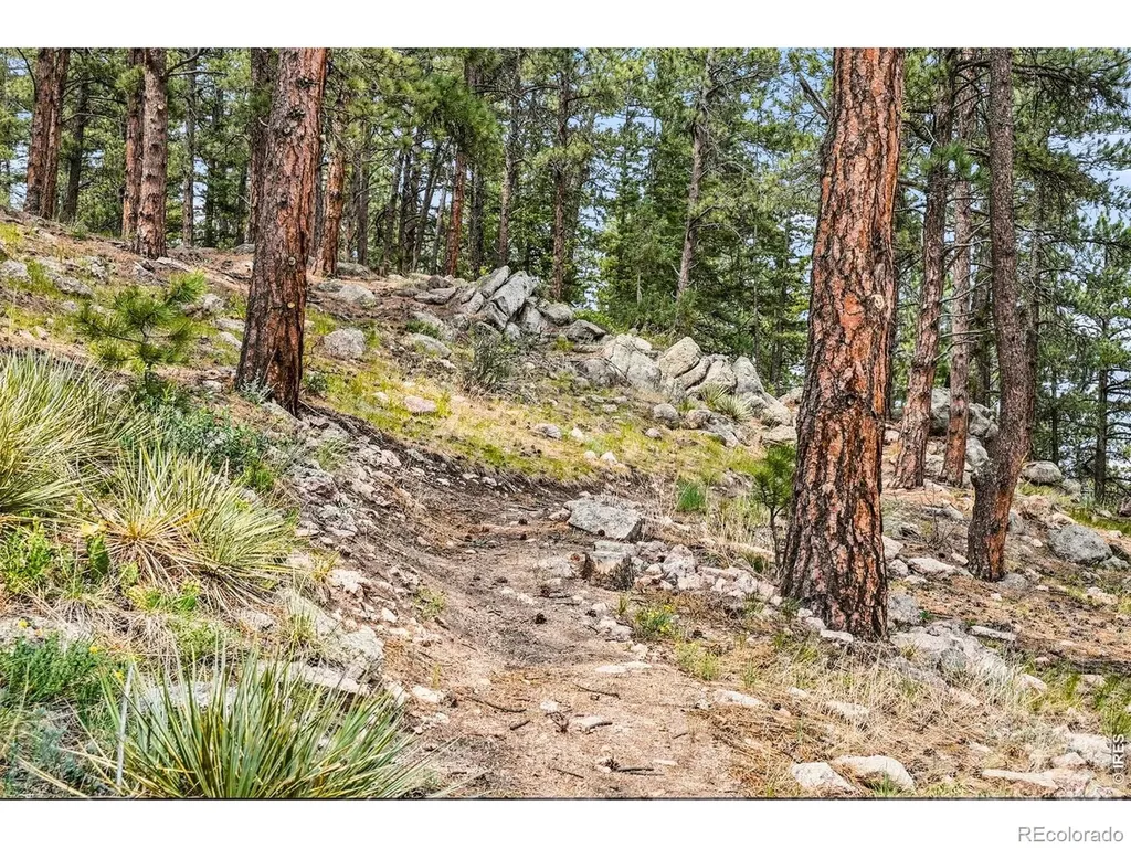 575 Reed Ranch Road Boulder CO 80302
