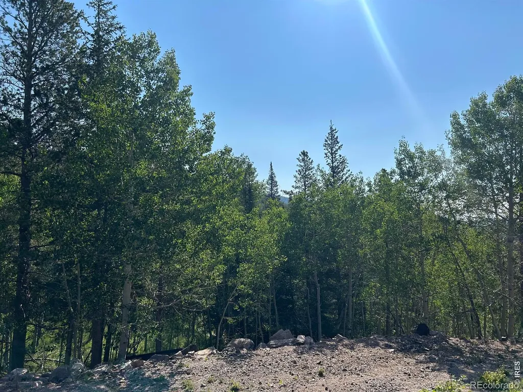 506 Elkridge Road Red Feather Lakes CO 80545