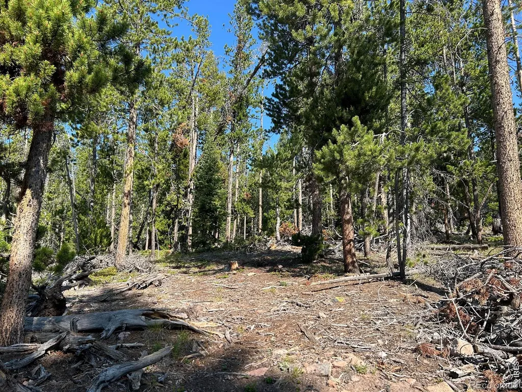 506 Elkridge Road Red Feather Lakes CO 80545
