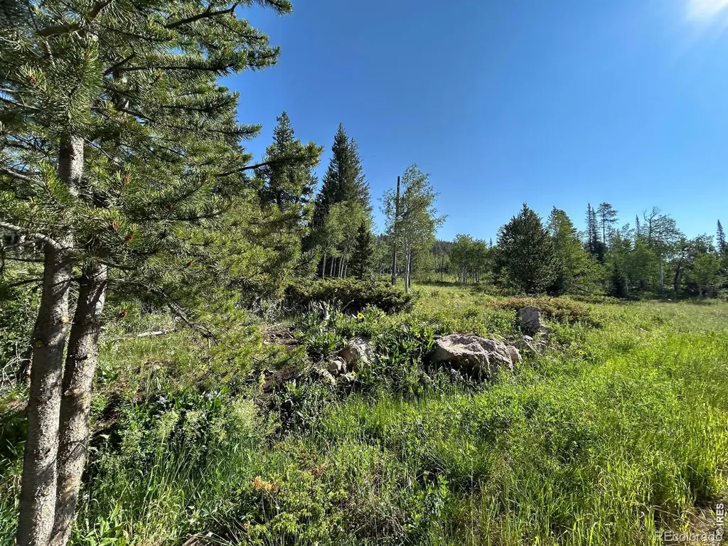 506 Elkridge Road Red Feather Lakes CO 80545