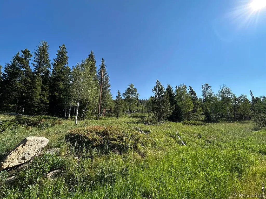 506 Elkridge Road Red Feather Lakes CO 80545