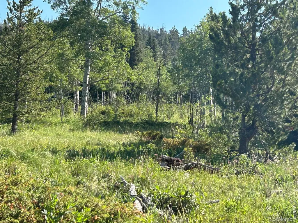 506 Elkridge Road Red Feather Lakes CO 80545