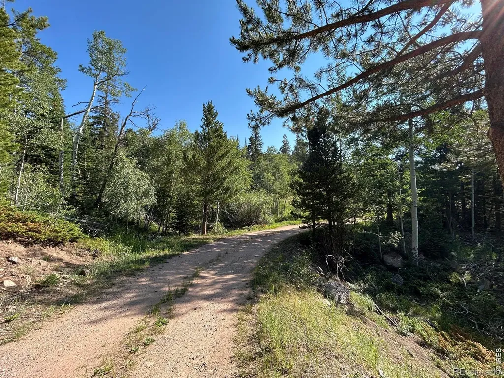 506 Elkridge Road Red Feather Lakes CO 80545