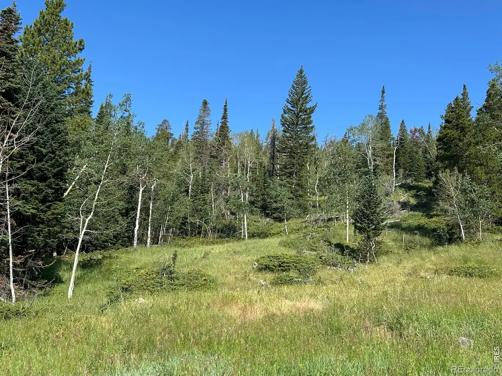 506 Elkridge Road Red Feather Lakes CO 80545