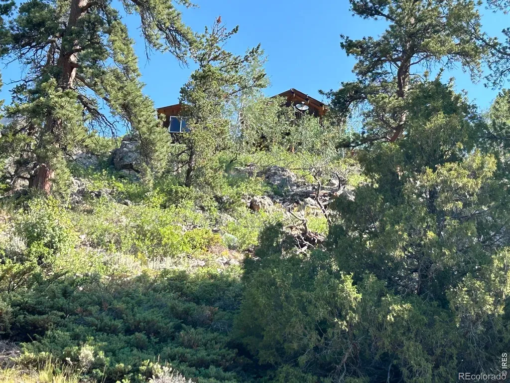 506 Elkridge Road Red Feather Lakes CO 80545
