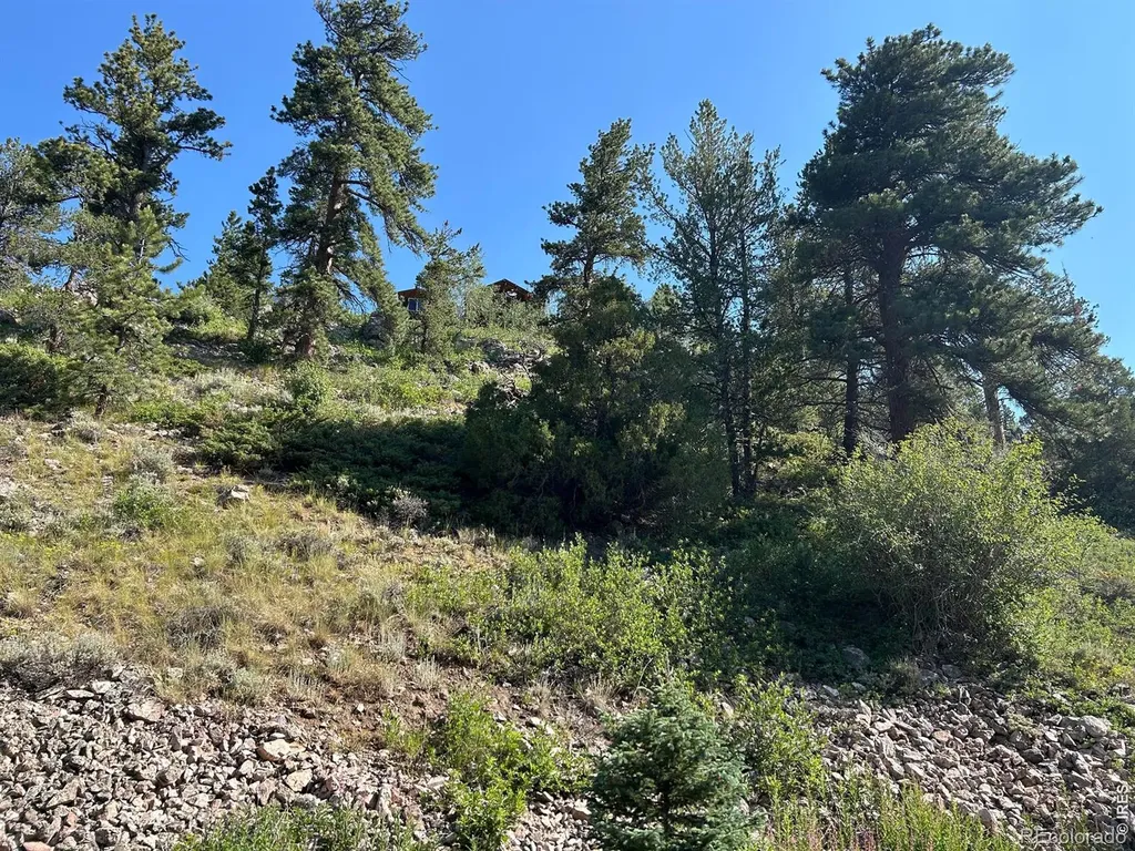 506 Elkridge Road Red Feather Lakes CO 80545