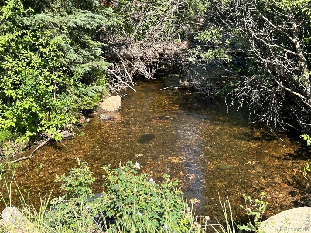 506 Elkridge Road Red Feather Lakes CO 80545