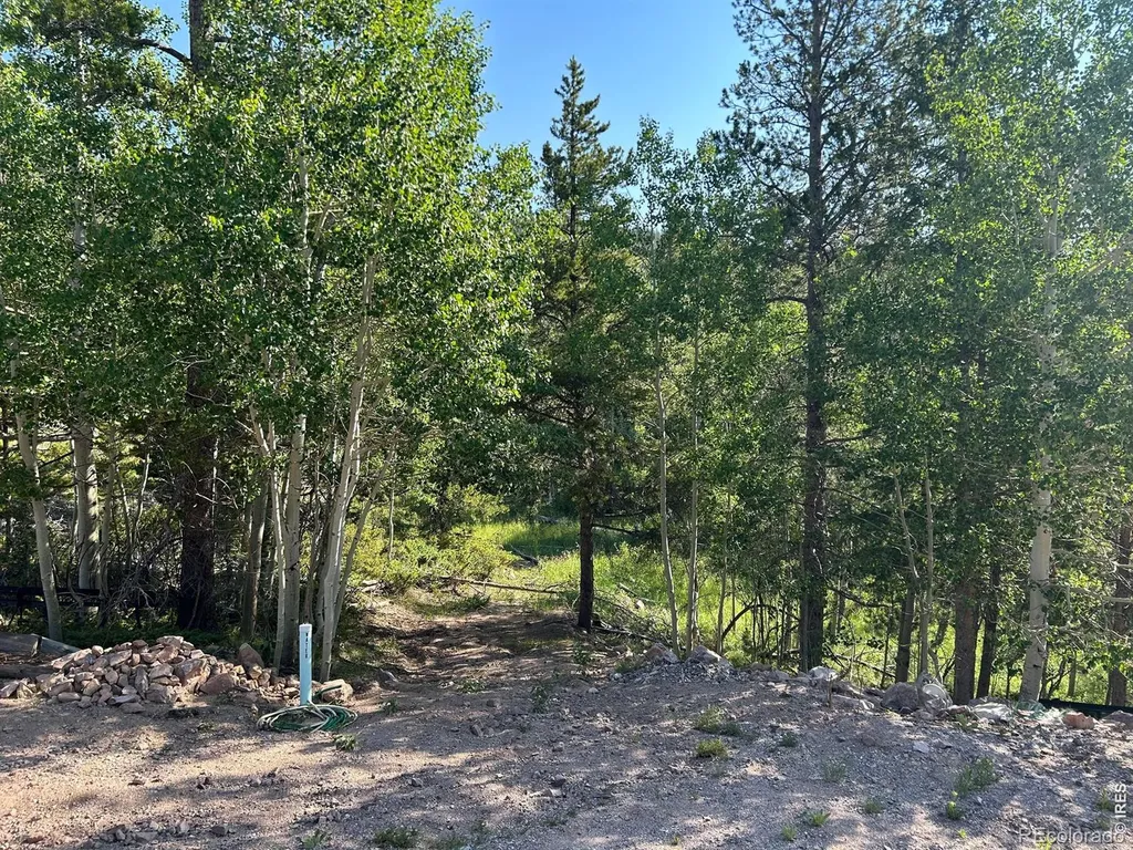 506 Elkridge Road Red Feather Lakes CO 80545